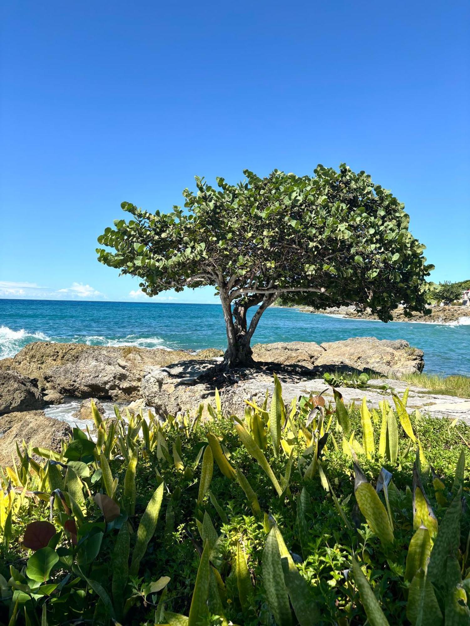 Gite Mabouya - Hamak, Piscine, Jardin Villa Anse-Bertrand Buitenkant foto